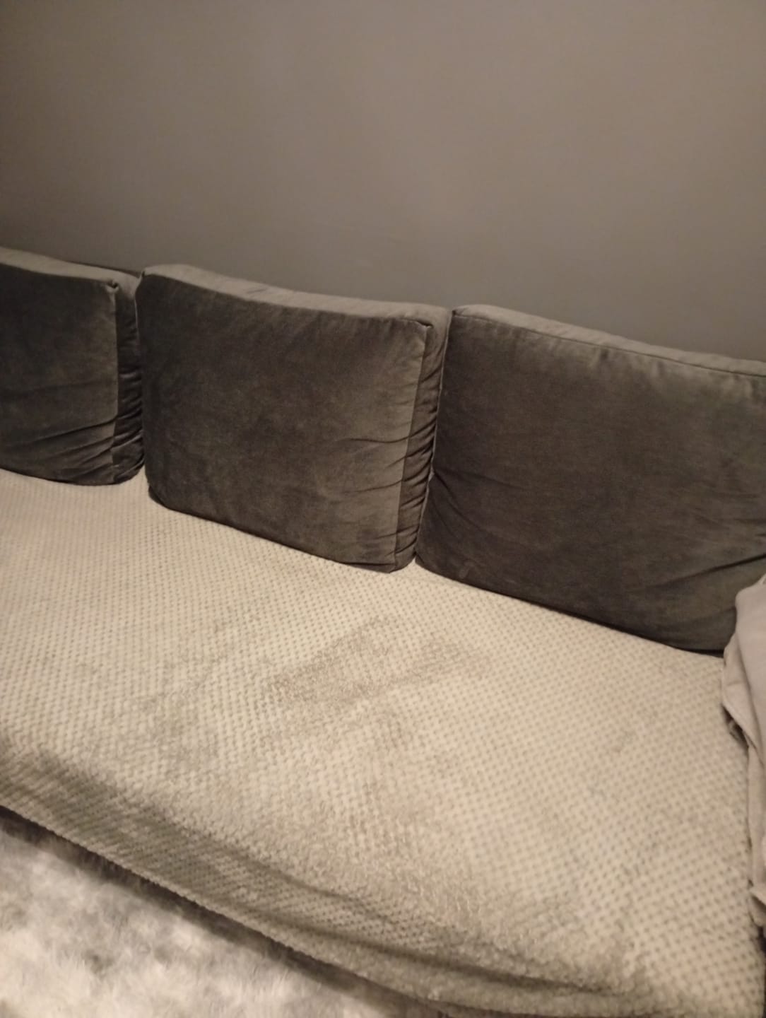Customer photo review of Kanapa NEO BP velvet
