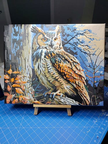 Customer photo review of Owl III