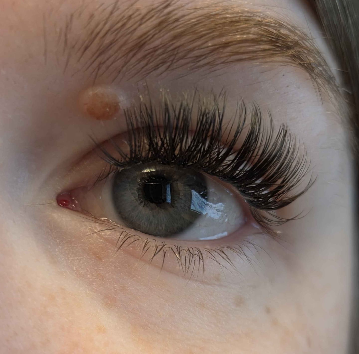 Customer photo review of CAFE GLAM MAXI (8mm-10mm)