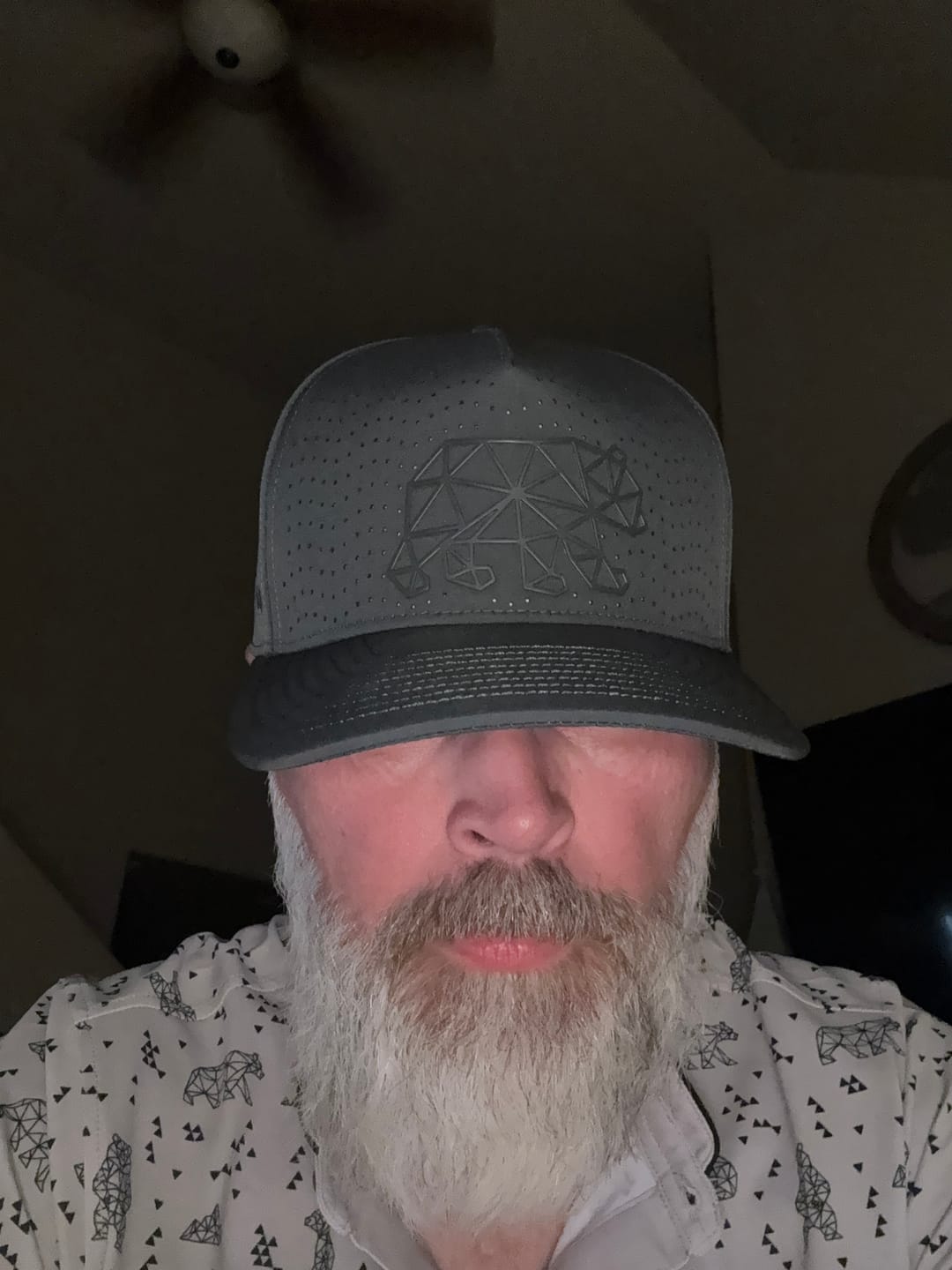Customer photo review of Great Bear Repel Hat