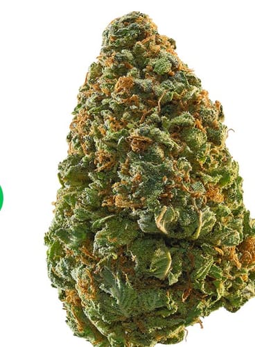 Blueberry Syrup - Bulk - Indica photo review