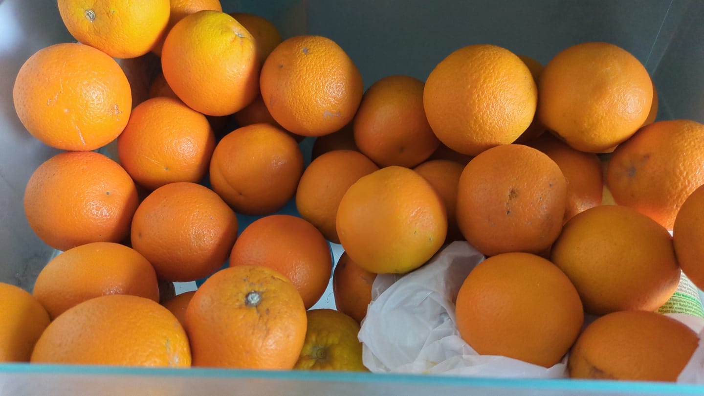 Customer photo review of Saft-Orangen Bio aus Sizilien