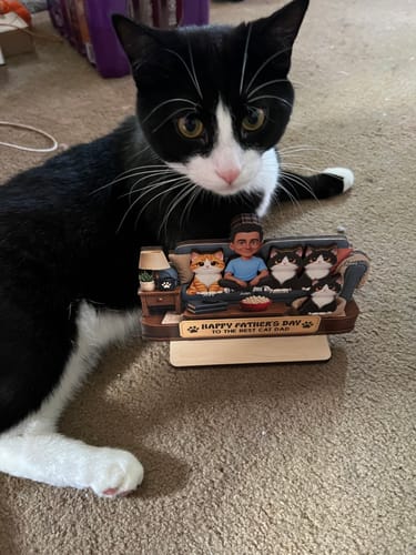 A customer's black and white cat poses next to the personalized 'Best Cat Dad' wooden plaque.