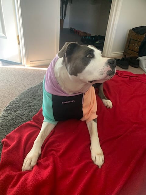 Customer photo review of Cyber Punk Human Hoodie