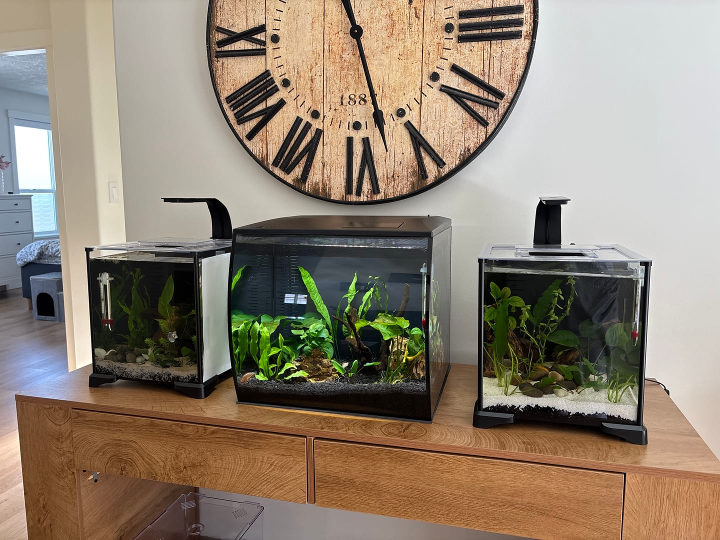 Customer photo review of Fluval Premium Betta Kit