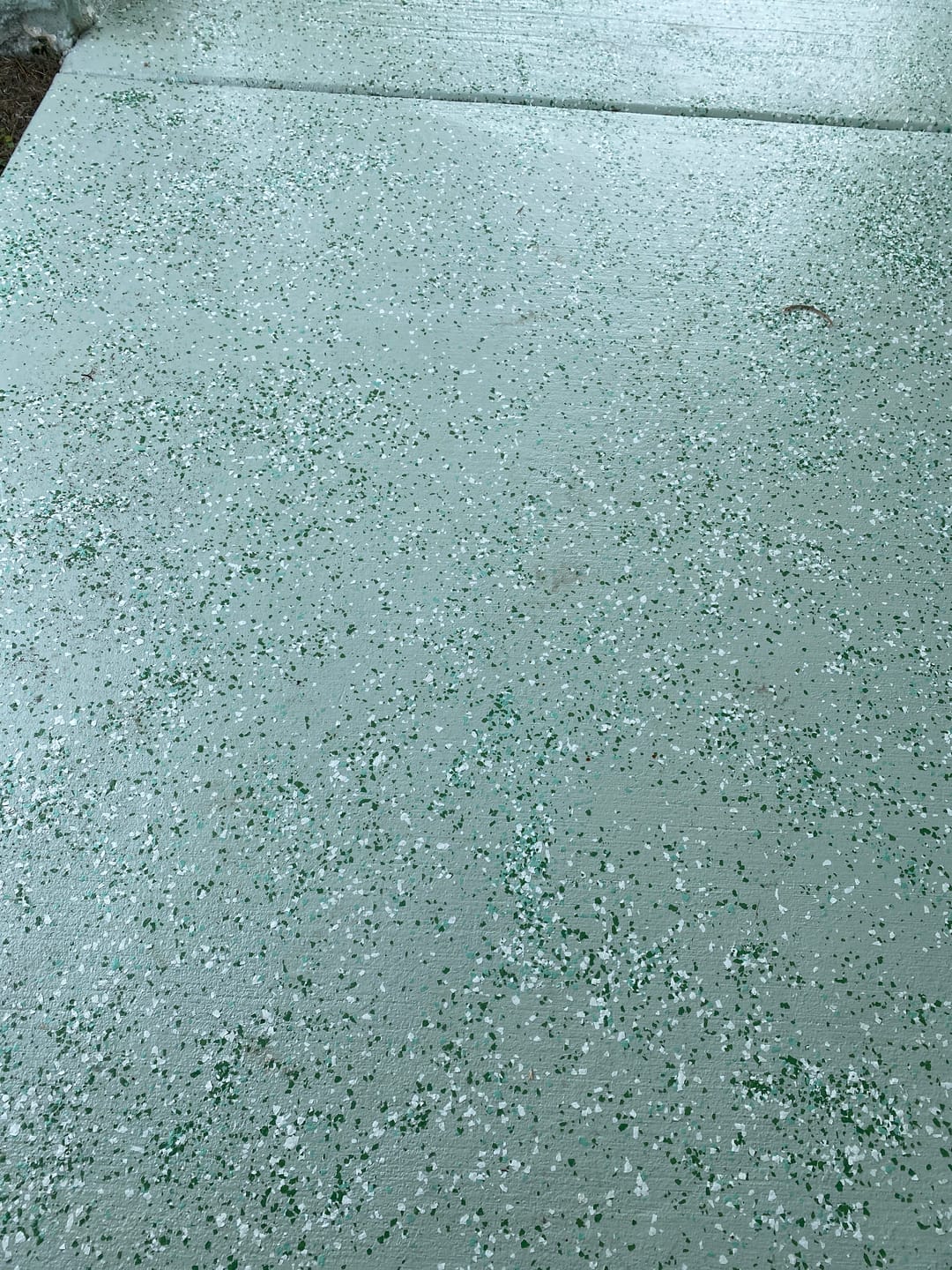 Customer photo review of 1 lb. Decorative Flake Blend