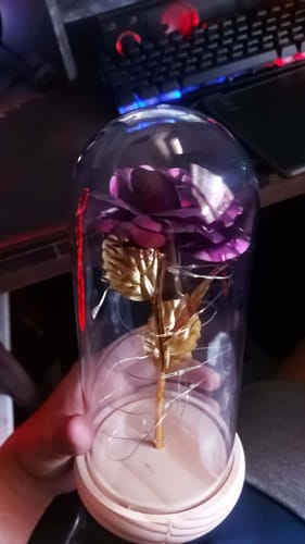Customer photo review of EverGlow Rose - Lamp