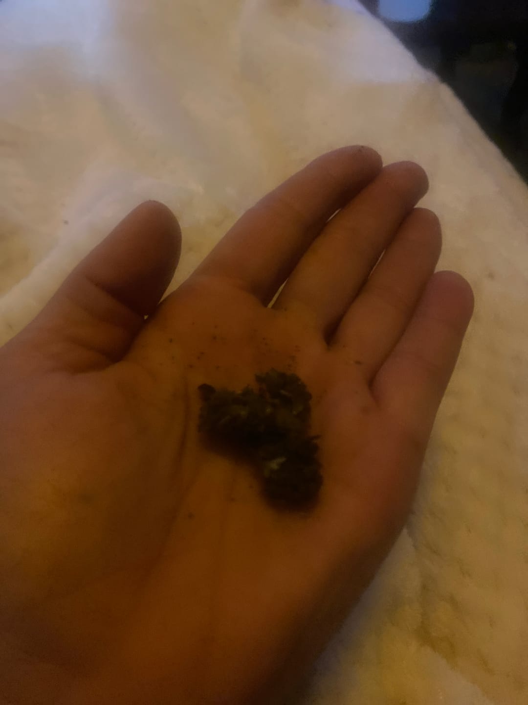 Customer photo review of Purple Kush - 28 Grams - Indica