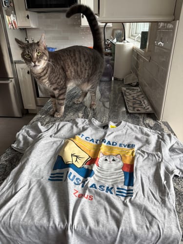 Reviewer's personalized gray cat dad shirt laid on a counter with a gray cat standing behind it.