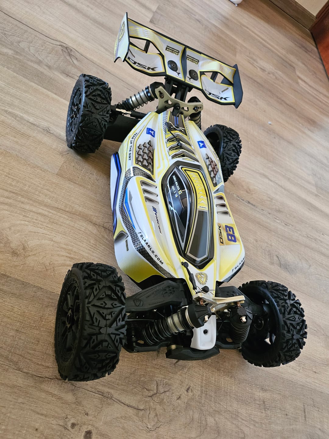 Customer photo review of Rlaarlo 1/8 4WD Buggy Dragon Scale Knight | DSK RTR