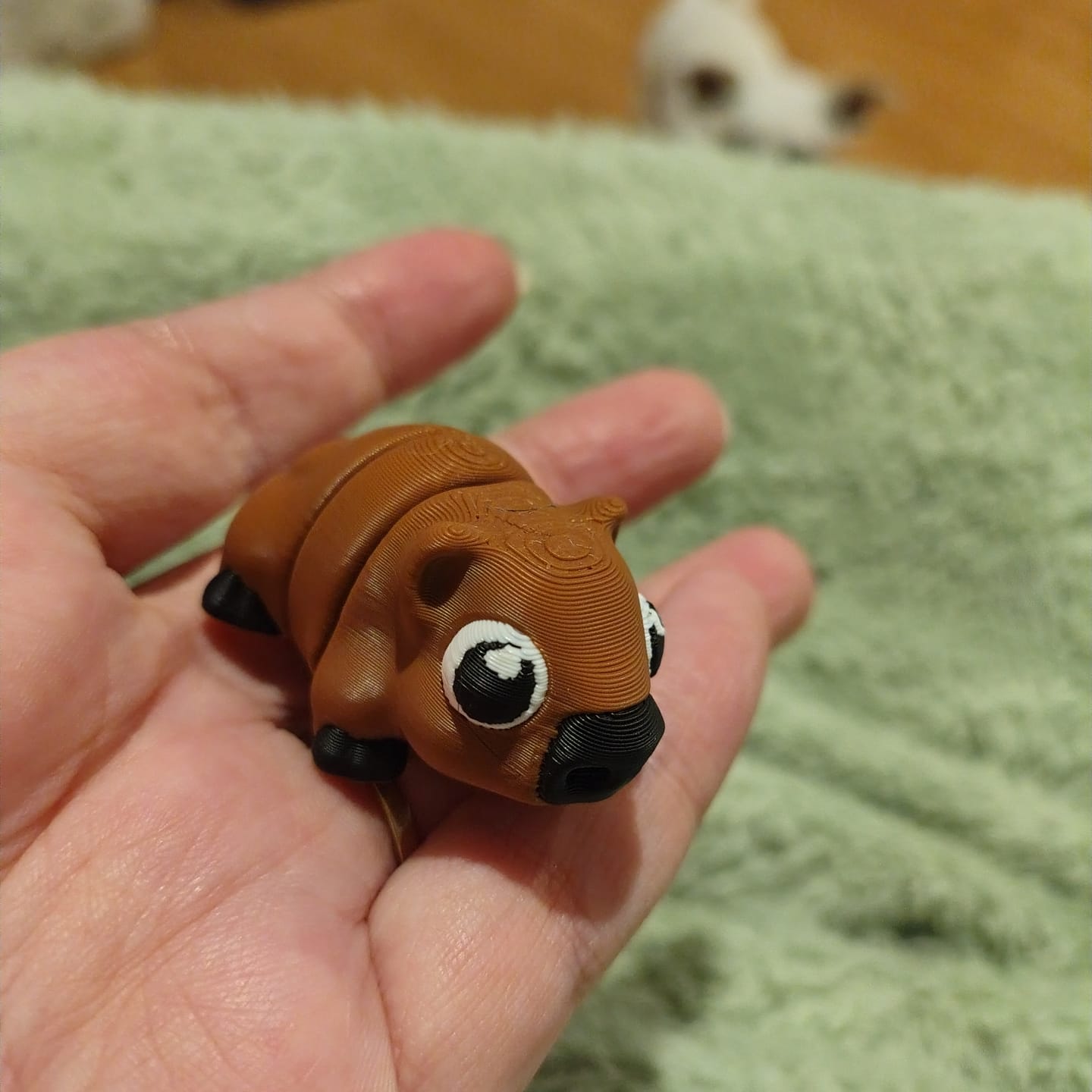 Customer photo review of Wombat