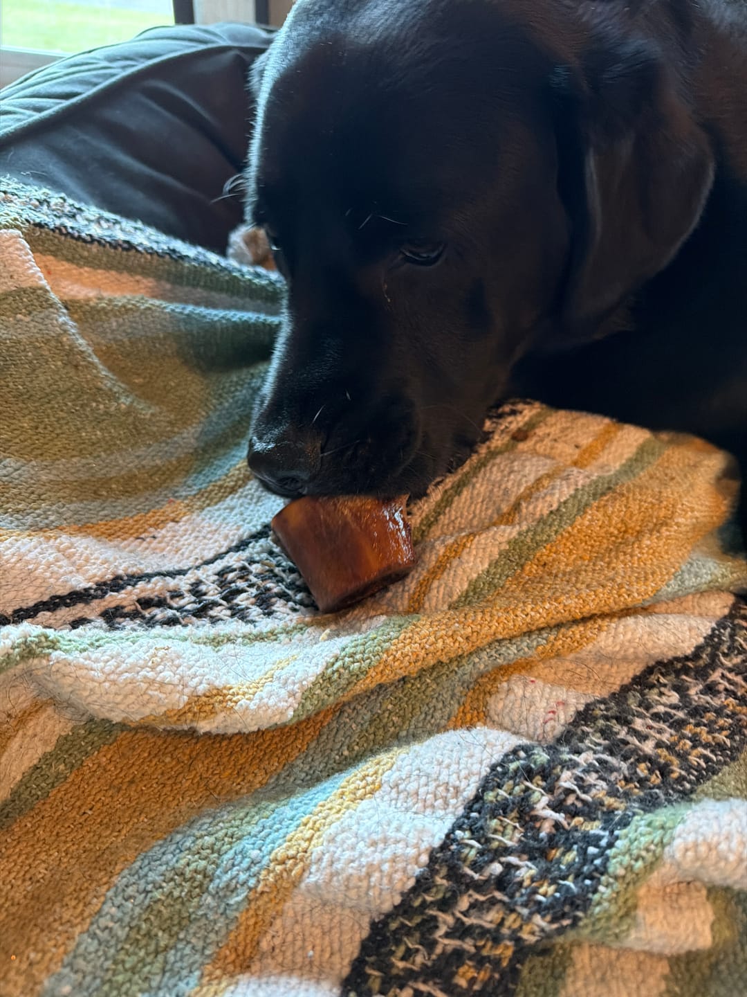Customer photo review of Smoked Beef Marrow Bones