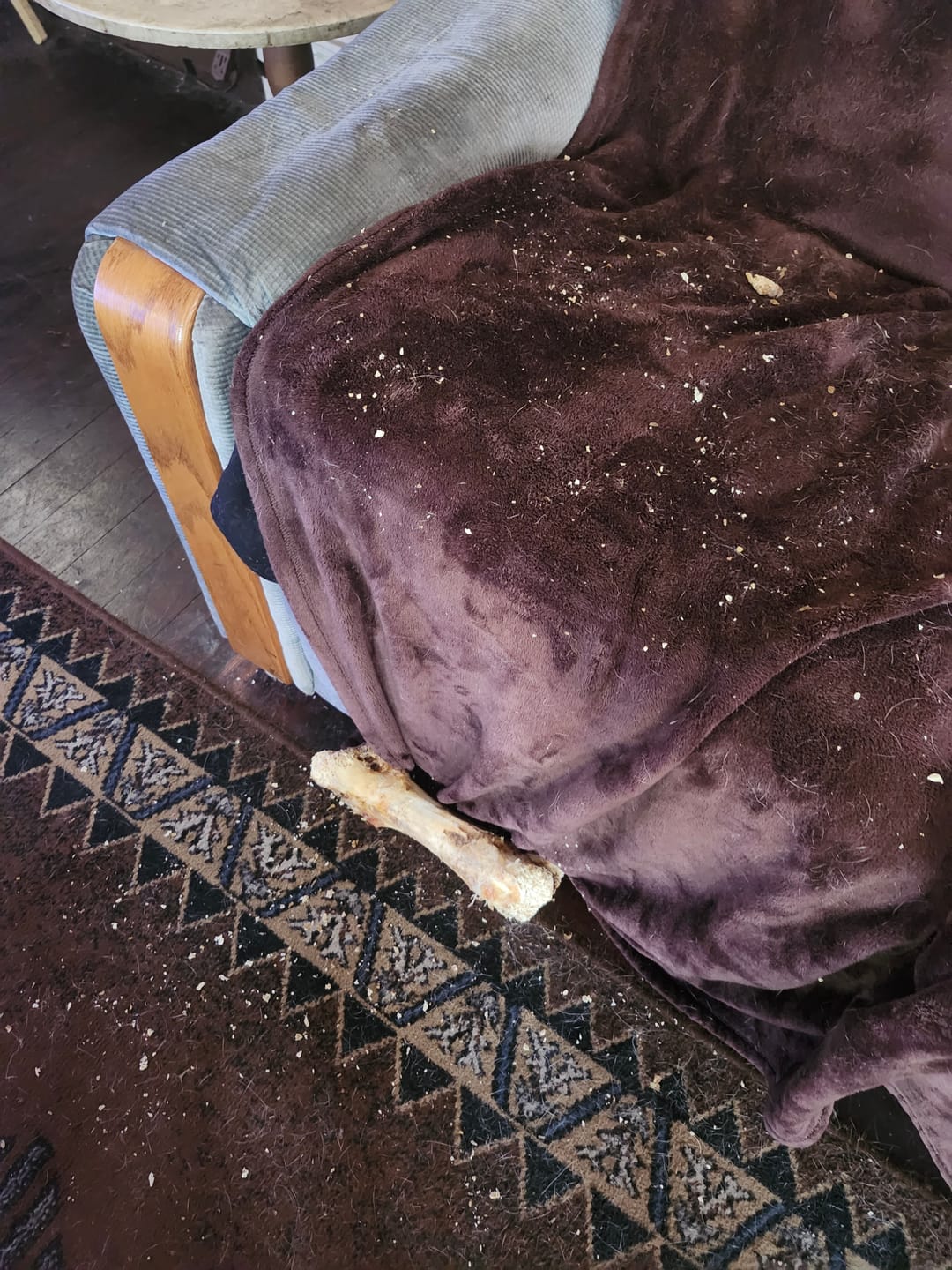 Customer photo review of Ostrich Hip Bone (12" x 5"x 3”): The Durable, Flavor-Packed Chew for Medium & Large Dogs