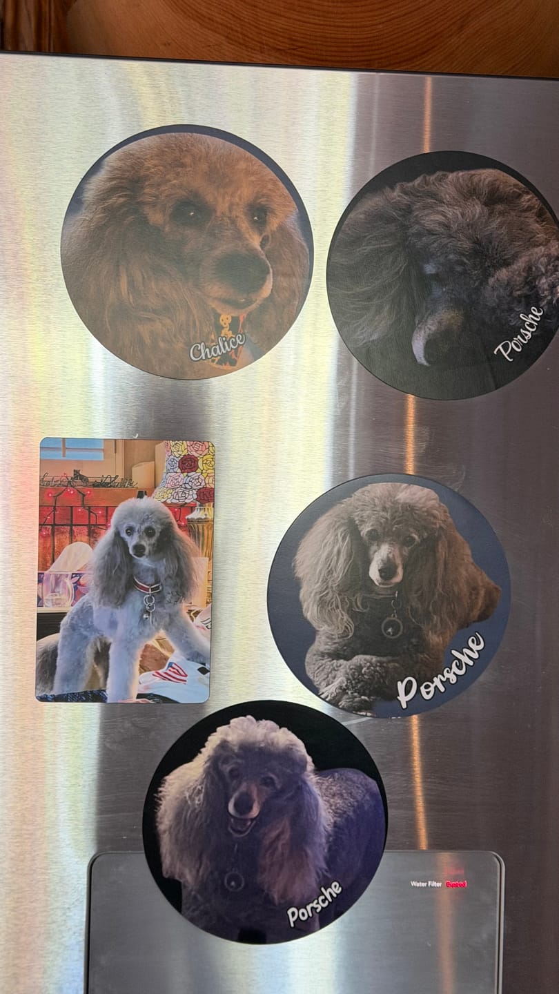 Customer photo review of Your photo - Personalized Car Magnet