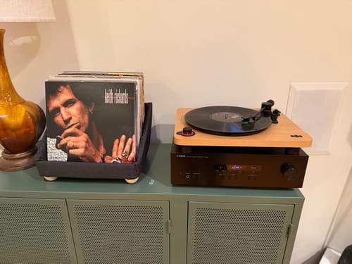 Customer photo review of Record Roots Tabletop Storage System