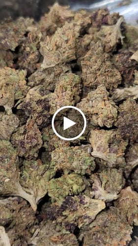 Customer video review of Light Assist THCA Smalls
