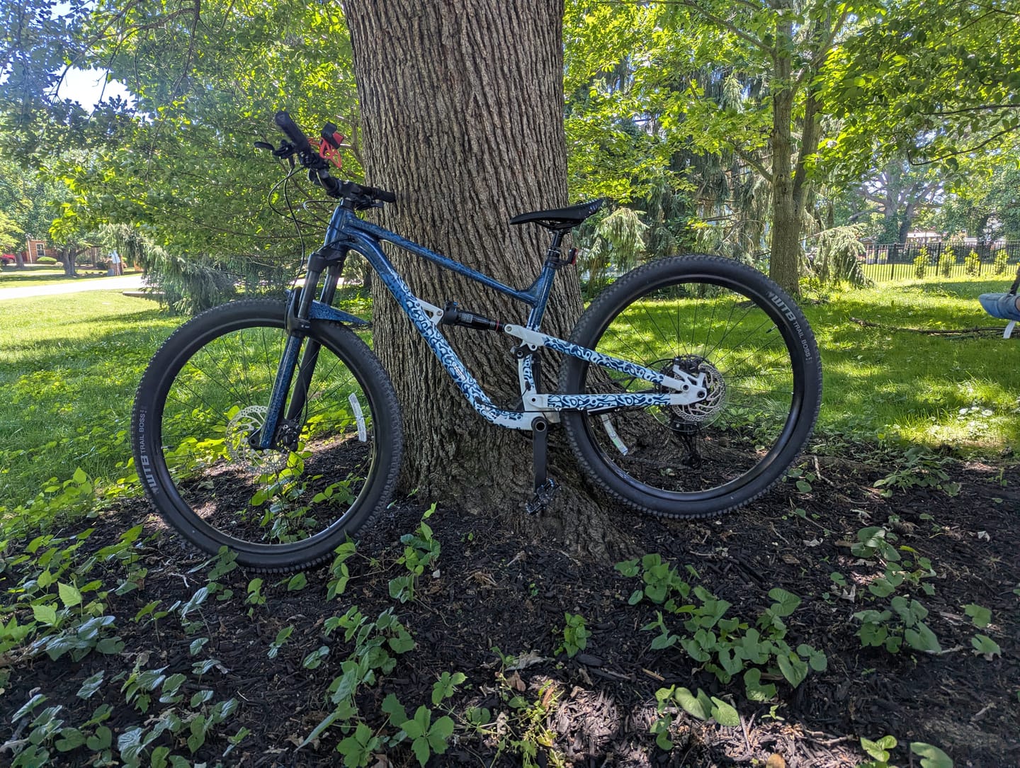 Customer photo review of Snake Charmer Frame Keeper
