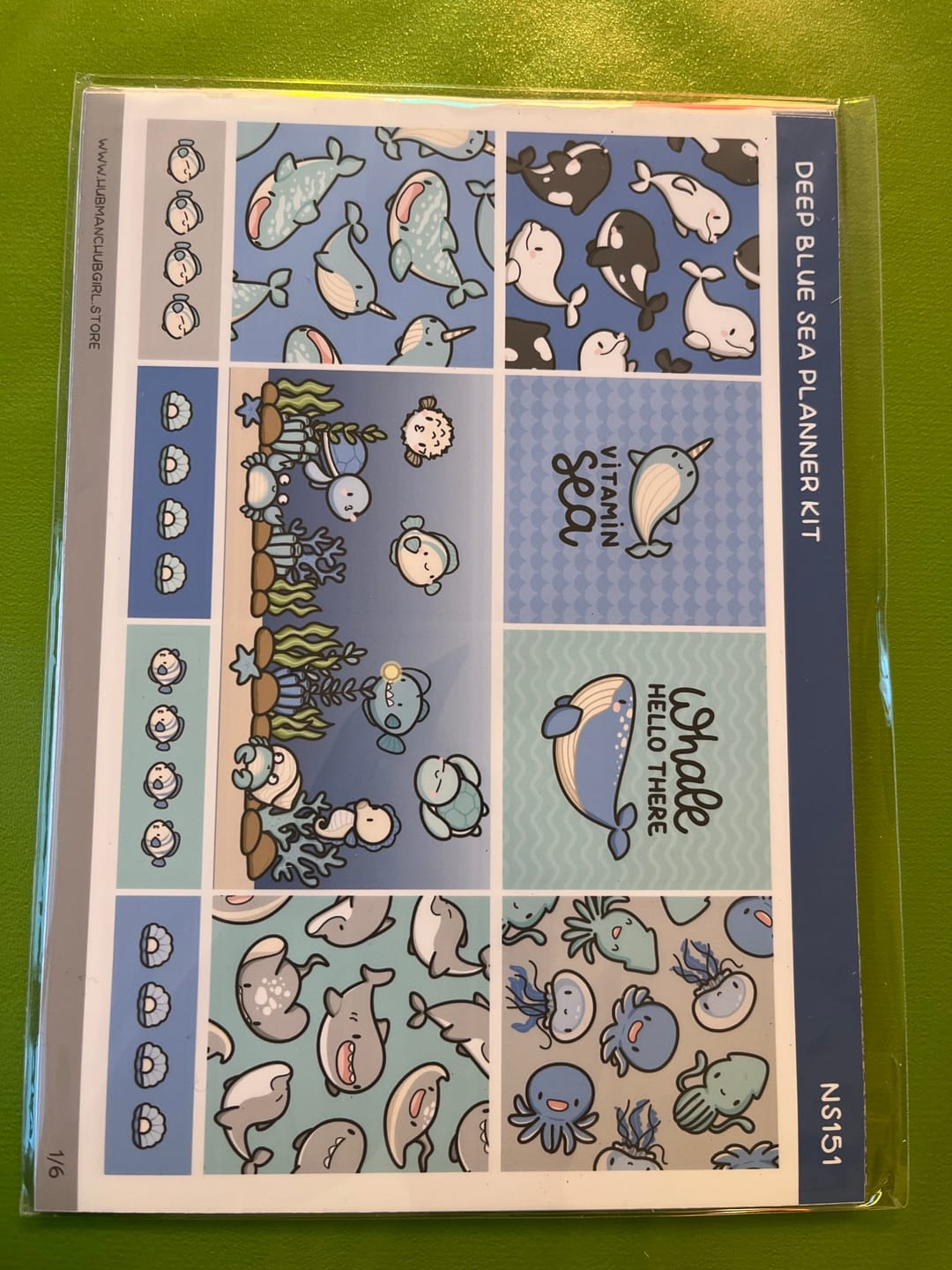 Customer photo review of Deep Blue Sea Planner Kit (Set of 6)