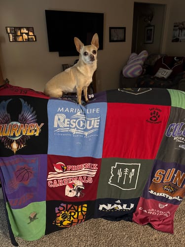 Customer's colorful T-Shirt Quilt made of various shirts, with a small dog sitting on top in a living room.