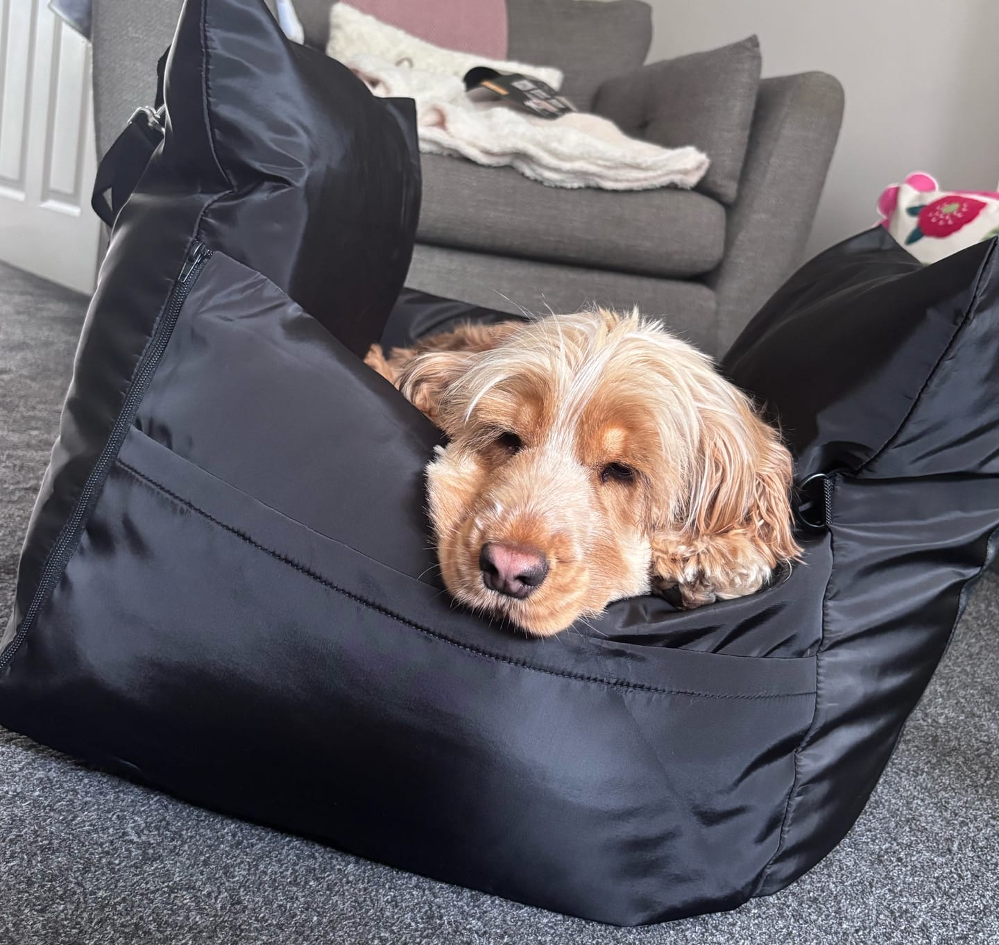 Customer photo review of Travel Dog Pod - Now With IsoFix