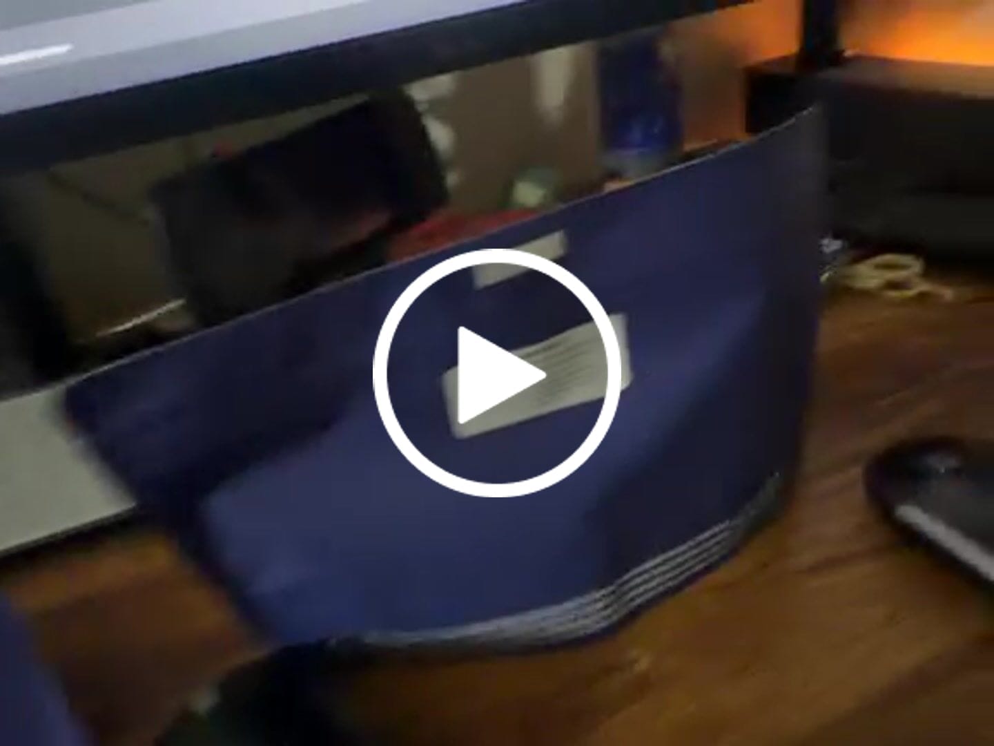 Customer video review of Stankasaurus