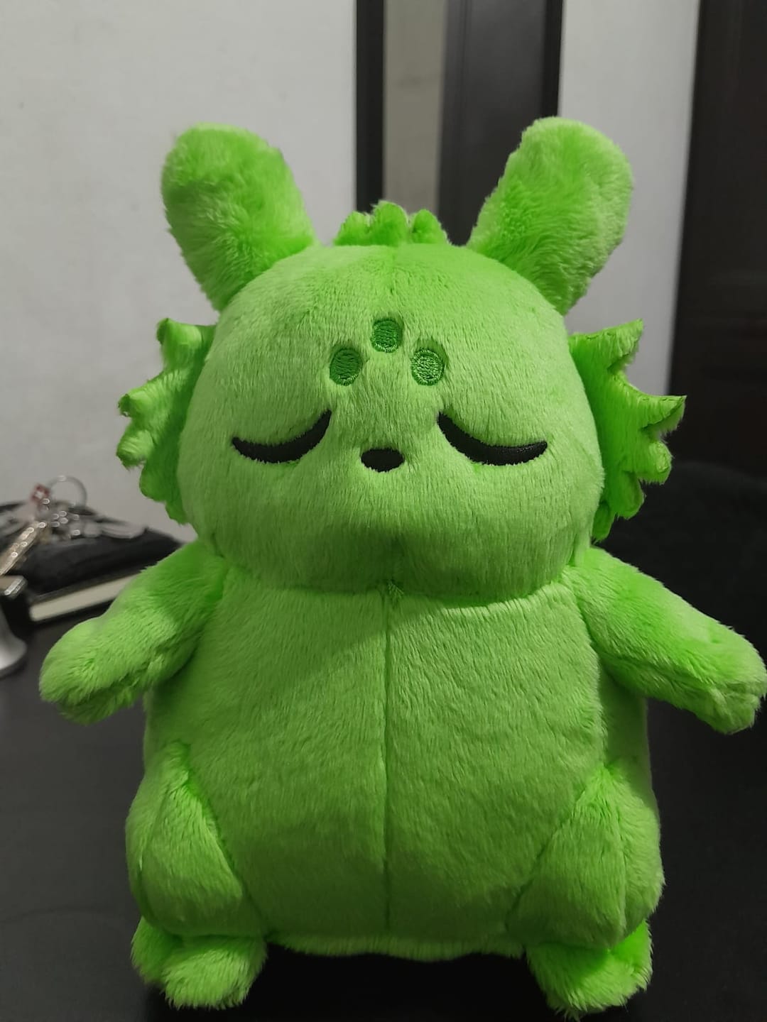 Customer photo review of Rain World - Saint Slugpup Plush