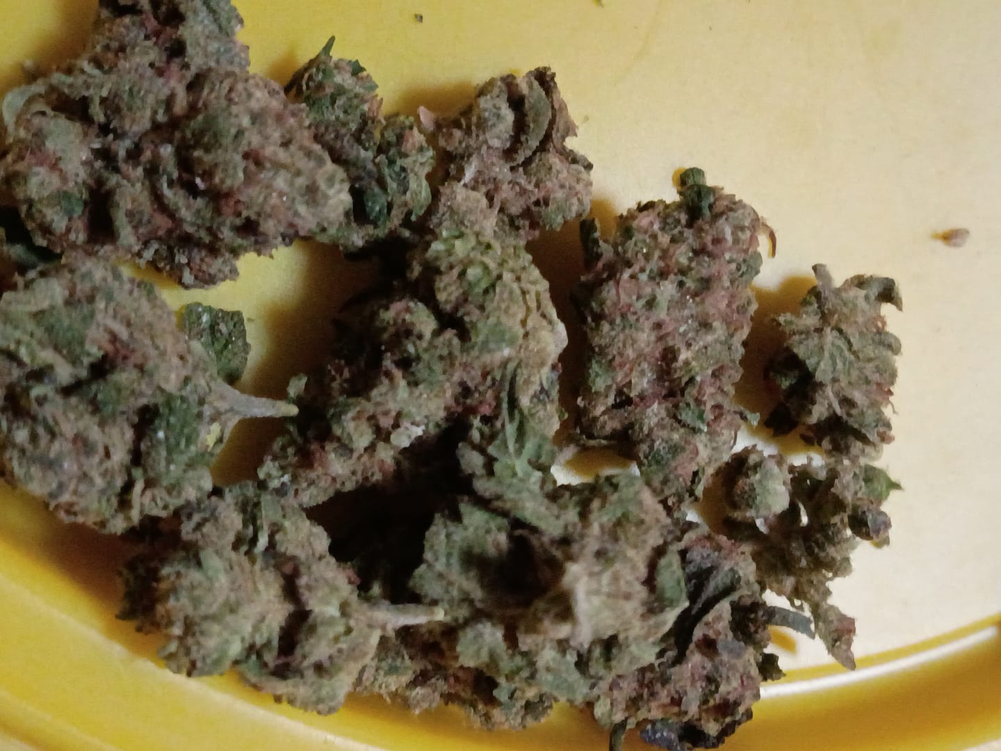 Customer photo review of Sweet ZZ - 4 Grams - Indica