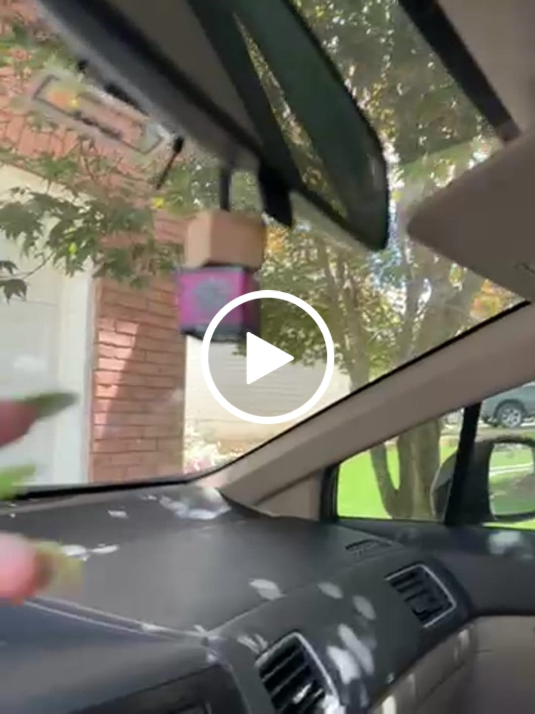 Customer video review of Sugar Spun Webs Car Diffuser