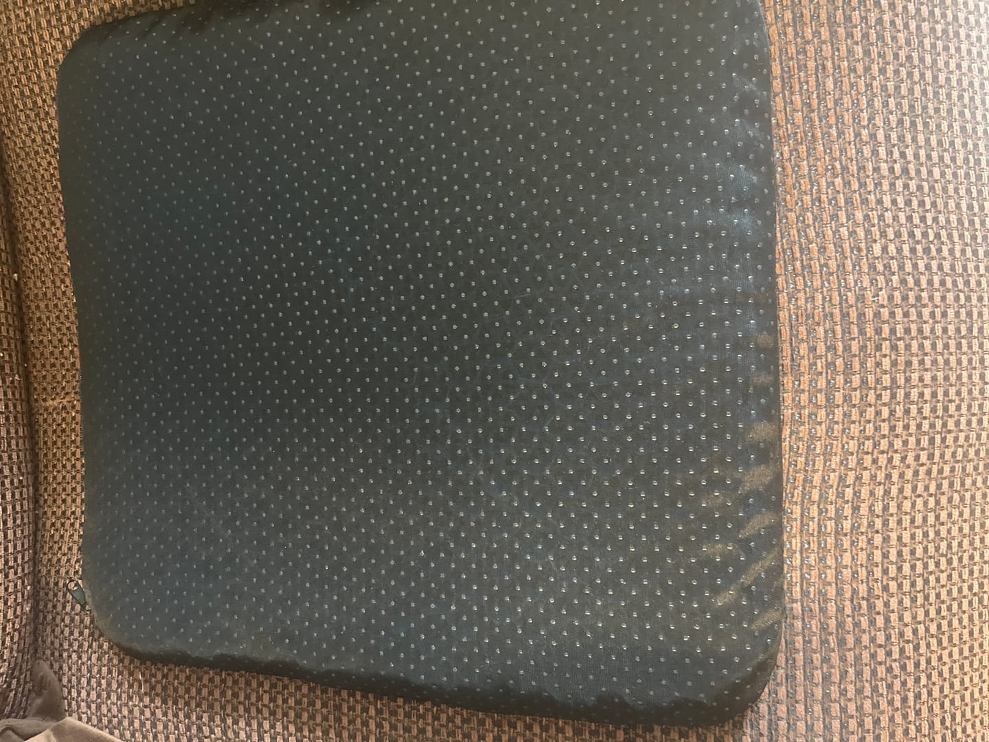 Customer photo review of Shipping Protection