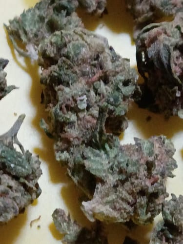 Peanut Butter Souffle - Bulk - Indica photo review
