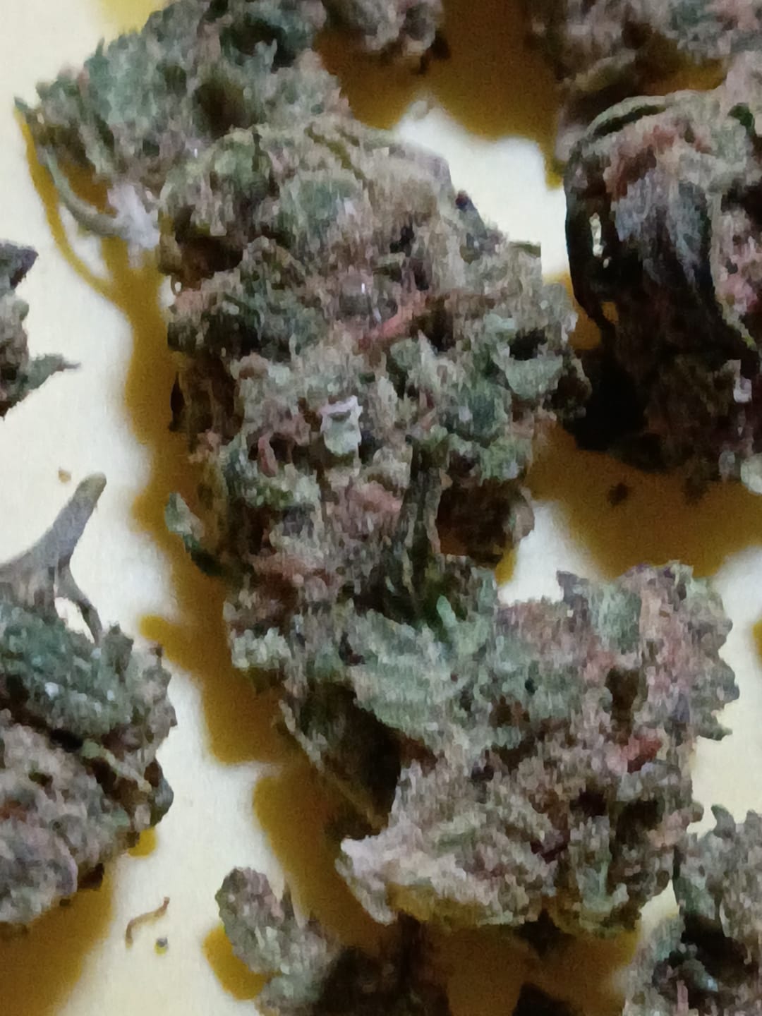 Customer photo review of OG Kush - Minis - 14 Grams (Indica)
