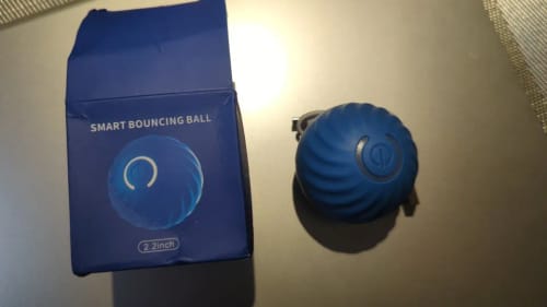 Customer photo review of Self-Rolling Smart Dog Ball