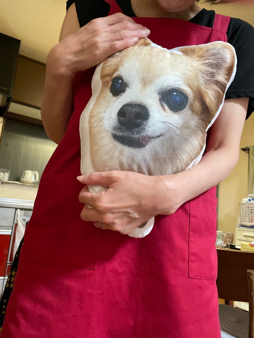 Customer photo review of 本物そっくり♪ペットクッション