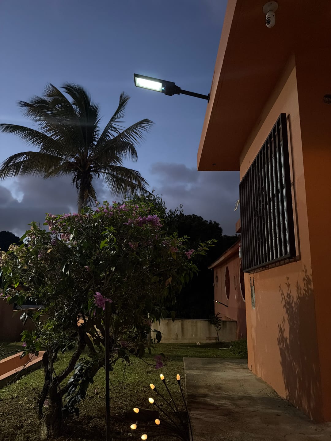 Customer photo review of Foco Solar 600 Watts