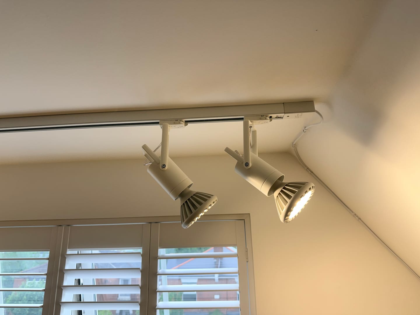 Customer photo review of Pianta 30 Grow Light LED Bulb