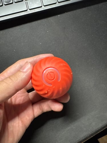 Customer photo review of Self-Rolling Smart Dog Ball