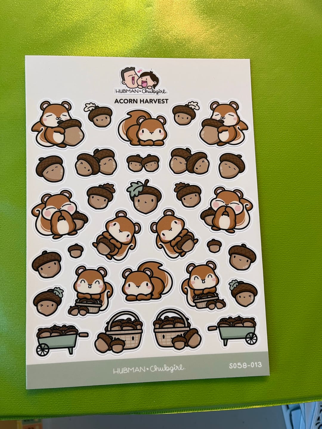 Customer photo review of Acorn Harvest Sticker Sheet