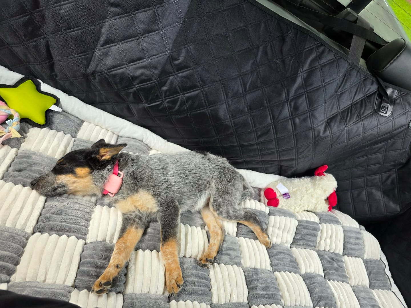 Customer photo review of NEW Waterproof Hard Bottom Car & Truck Seat Foldable Hammock Cover With Storage Pockets, Side Flaps, Headrest Straps, Seat Anchors, & Mesh Window (+FREE SAFETY BELT!)