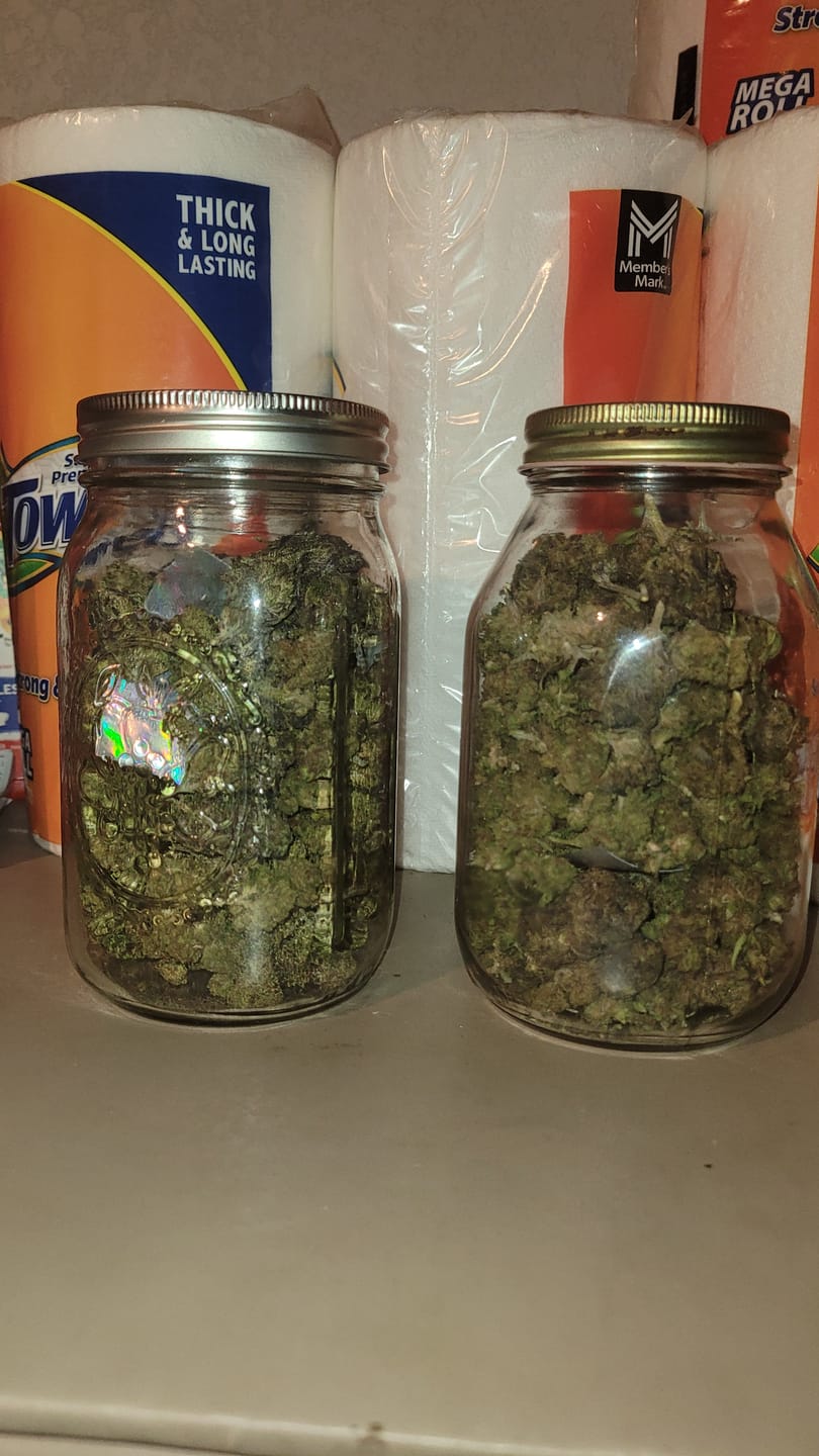 Customer photo review of Wedding Cake - 28 Grams Minis - Indica