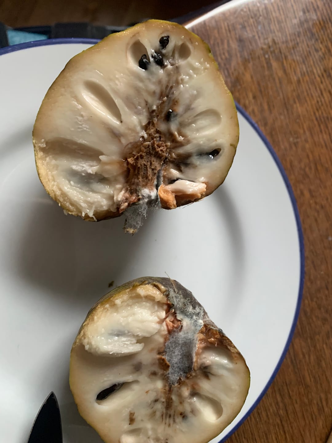 Customer photo review of Bio Obst & Gemüse Retterbox 5kg