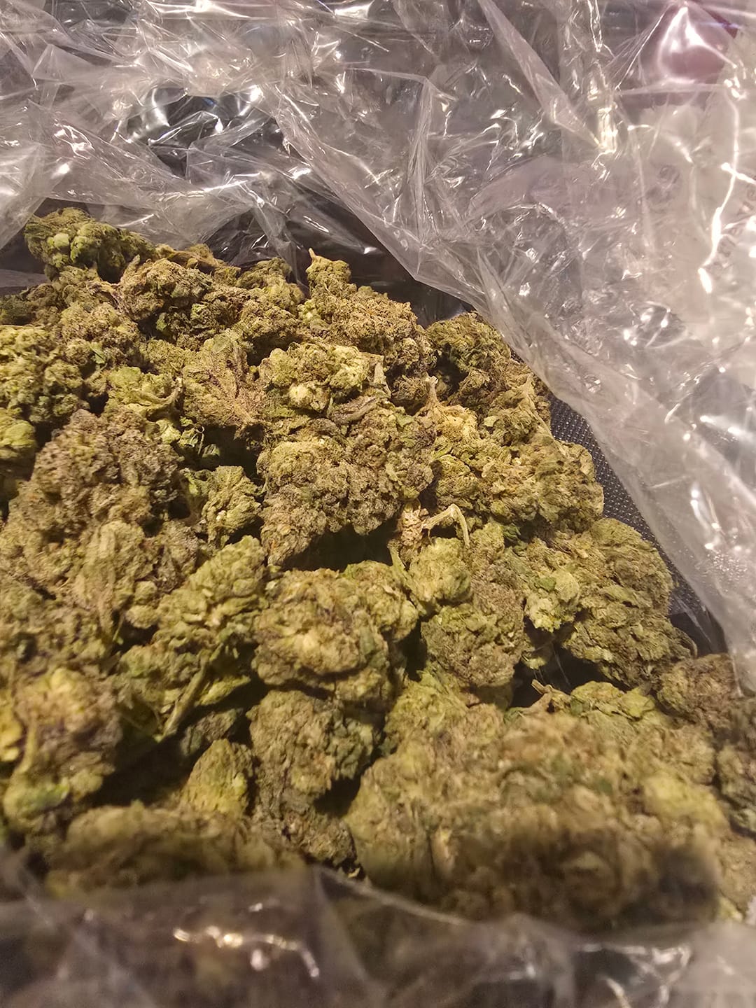 Customer photo review of Horchata Gas - Bulk - Hybrid