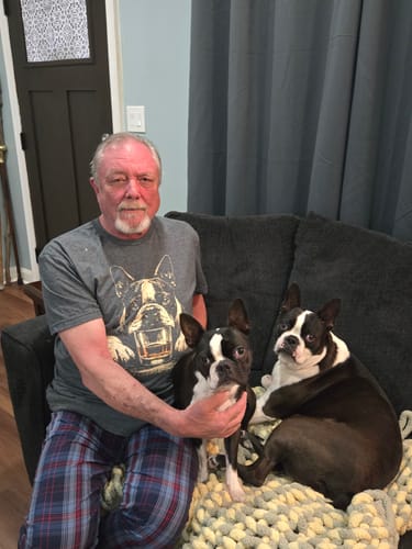 Reviewer wearing the grey Boston Terrier grunge t-shirt while sitting on a couch with two Boston Terriers.