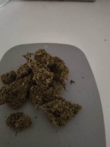 Customer photo review of Black Ice THCA Flower Ounce (28g)