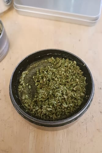 Customer photo review of Psychopathic Purp Greenhouse THCA