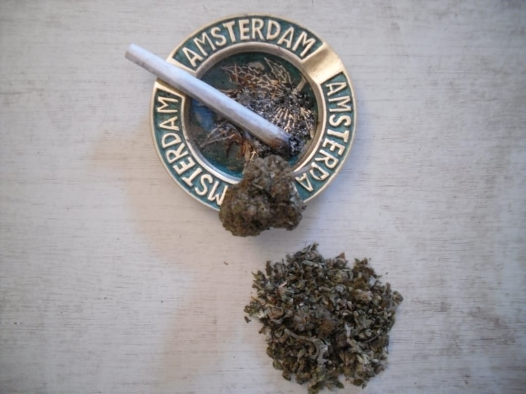 Customer photo review of Lemon Cherry Gelato 9H-THC