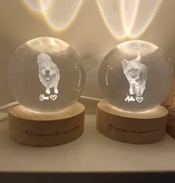 Customer photo review of Personalized Sphere
