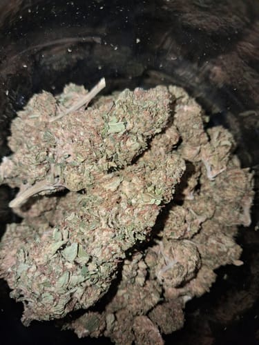 Customer photo review of Black Ice THCA Flower Ounce (28g)