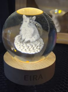Customer photo review of Personalized Sphere
