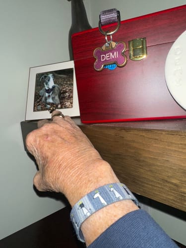 Customer wearing a blue bracelet with a greyhound pattern on their wrist in front of a pet memorial.
