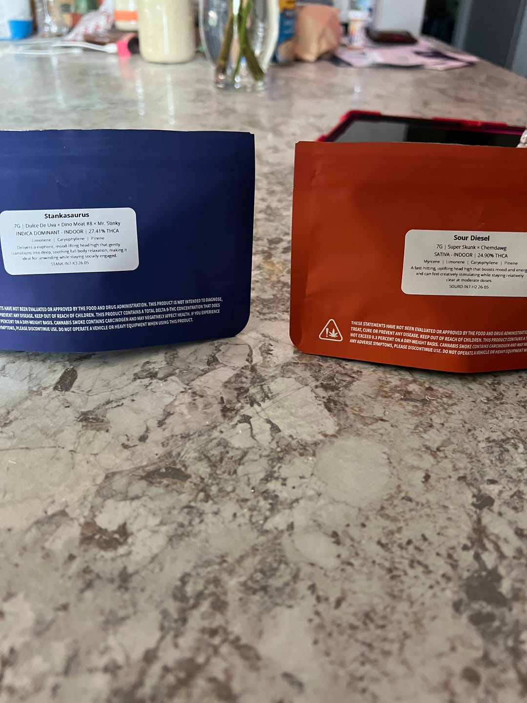 Customer photo review of Stankasaurus